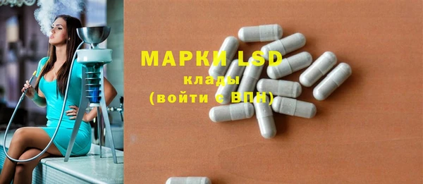ПСИЛОЦИБИНОВЫЕ ГРИБЫ Баксан