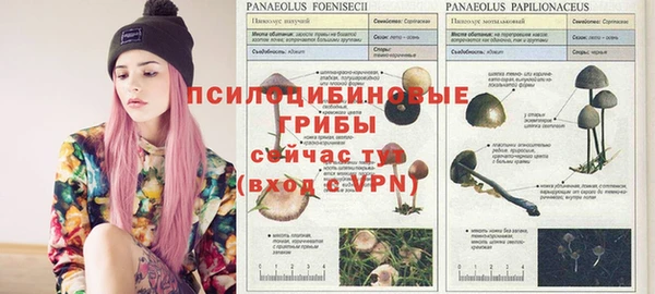 гидра Балабаново