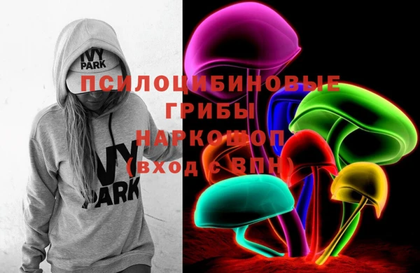 ПСИЛОЦИБИНОВЫЕ ГРИБЫ Баксан