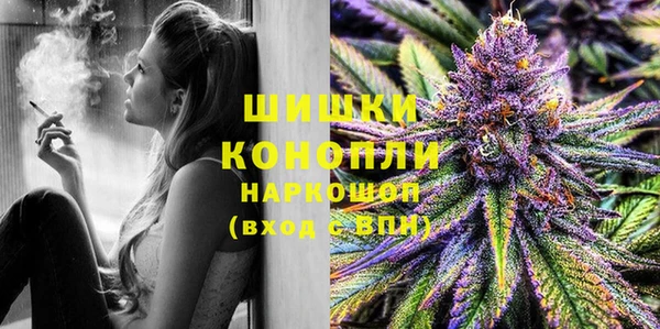 ПСИЛОЦИБИНОВЫЕ ГРИБЫ Баксан