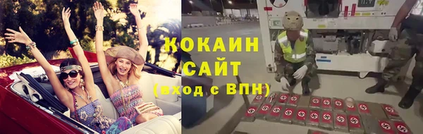ПСИЛОЦИБИНОВЫЕ ГРИБЫ Баксан